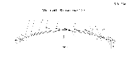01-26 60х8