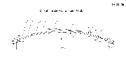 01-26 60х9